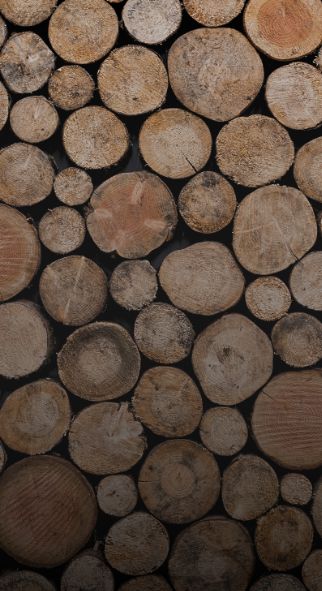 WhatsApp Image 2024-10-08 at 09.09.11